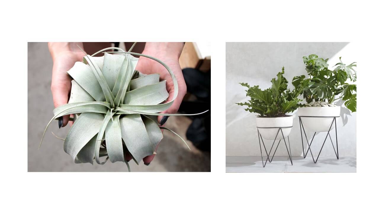 Easy summer updates for your home
